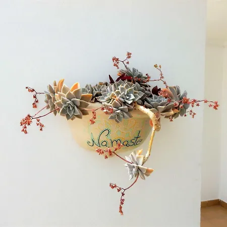 Sarah Morro Jable (Fuerteventura)